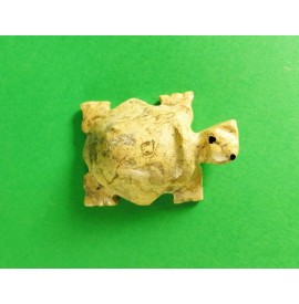 Tartaruga in fossile
